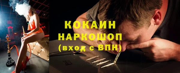 гидра Инсар