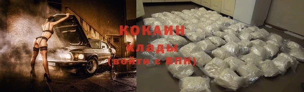 гидра Инсар