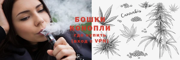 СК Инта