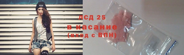 гидра Инсар