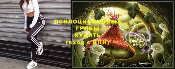 СК Инта