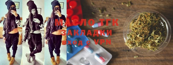 гидра Инсар