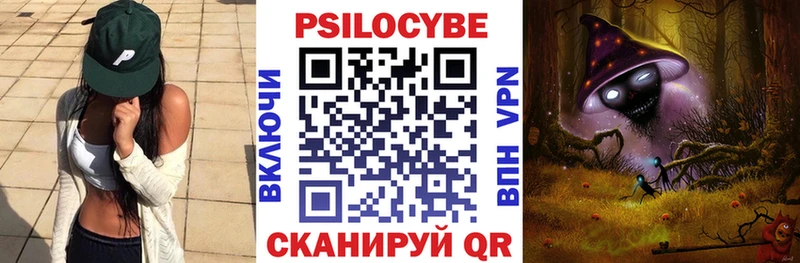 Купить Кукмор Псилоцибиновые грибы MAGIC MUSHROOMS