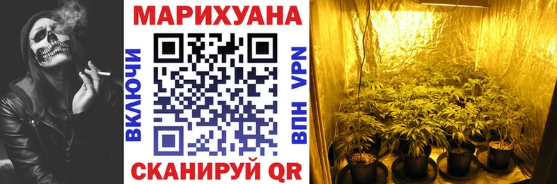 Купить где  Кукмор  Каннабис OG Kush 